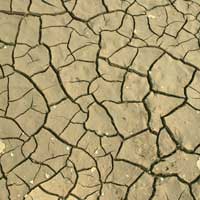 Carné de identidad : Valorema es  el especialista  para reciclar y valorizar las tarjetas electrónicas y sus componentes: tarjetas informáticas, placas madre, tarjetas wifi, tarjetas red, tarjetas con chips, tarjetas telefónicas,tarjetas telecomunicaciones, tarjetas militares, radios médicas, catalizadores automóviles, circuits integrados, circuitos impresos,IC, PCB,  componentes electrónicos, microprocesadores, semiconductores, BGA, chipset, chips, memorias, SD RAM, llaves 3G, seguros electrónicos, discos duros, portátiles, oro, plata,paladio, platino, rodio, tantalio,silicio, metales preciosos. Valorema Electronics